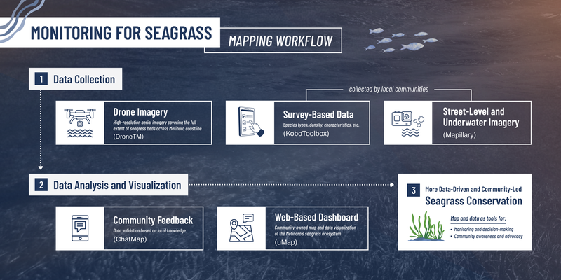 Monitoring for Seagrass Mapping Workflow