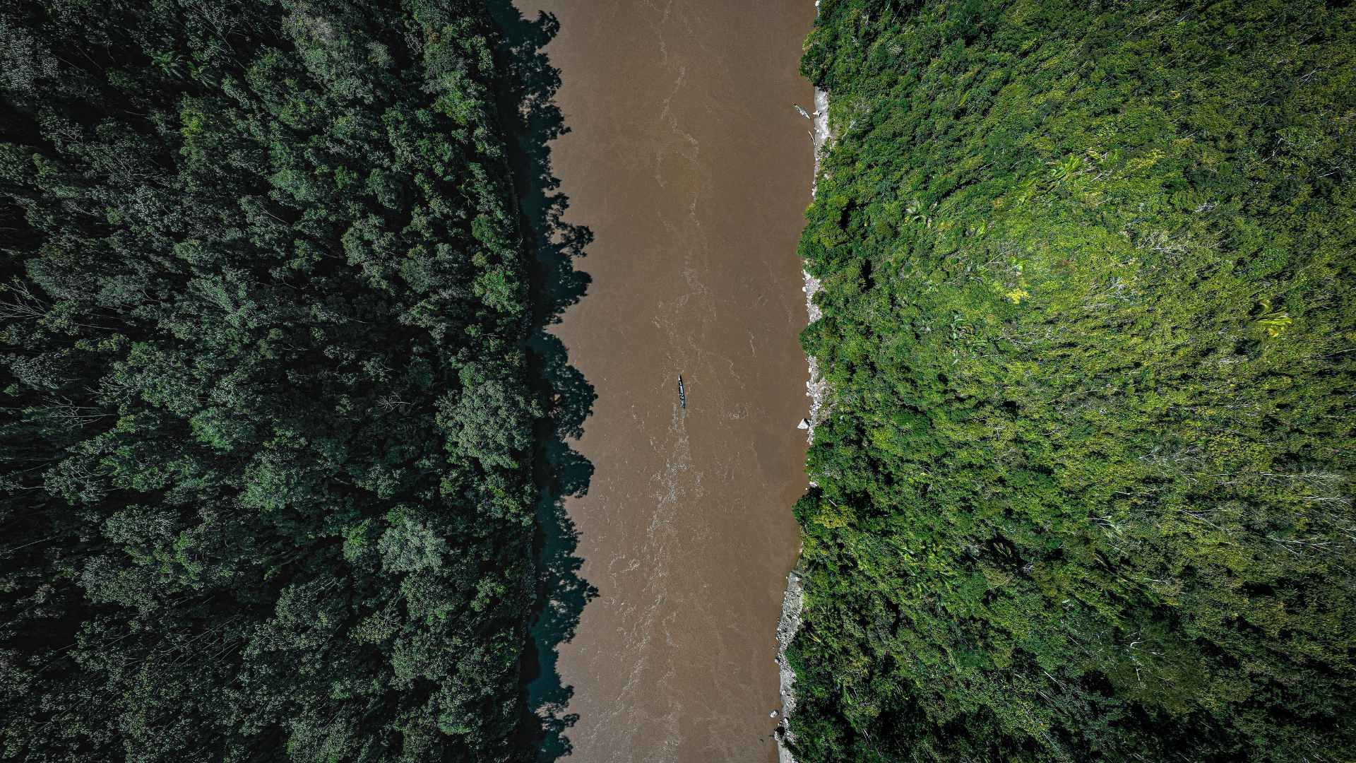 https://cdn.hotosm.org/website/Mapeos+Participativos+para+una+Amazoni%CC%81a+Sostenible.jpg