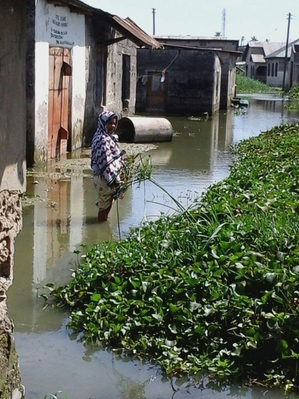 https://cdn.hotosm.org/website/0_x0m32Xy0EE56D-Q8-9981f2.jfif