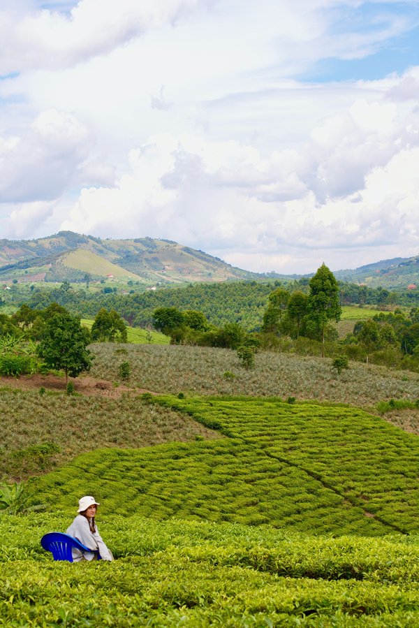 https://cdn.hotosm.org/website/ESA_GBVUganda.jpeg
