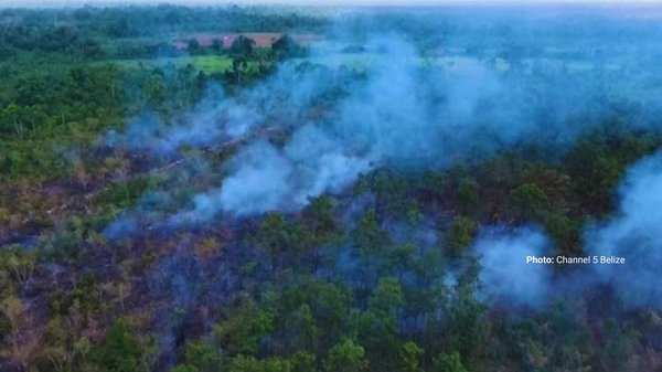 /uploads/Belize%20Wildfires%20Photo%20Channel%205%20Belize.jpg